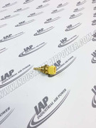 ZS1072483 Temperature Probe Pt