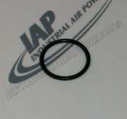 2111010210 O-Ring