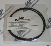 85387979 O-Ring
