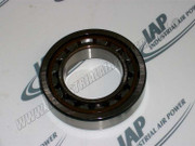 12BA136 Roller Bearing