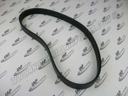 13W5604 Banded Belt 13W5604 Banded Belt