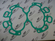 2006550N Gasket