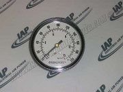 2009562 0-200# Gauge