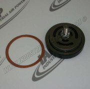 200VDS307A Asm Disch Valve