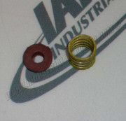 202ASL105 Valve Spring