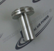 202SSE043 Piston-Inlet Valve
