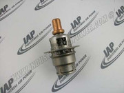 2109389 Thermal Valve Element