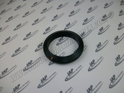 2117163 Gasket 5 In