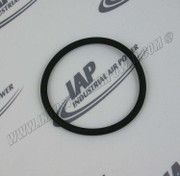 25BC175 O-Ring