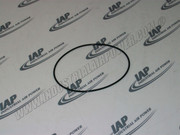 25BC255 O-Ring