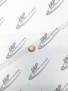 25F44 Ring Gasket