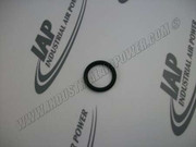 89534789 O-Ring