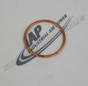 CQP14832A Gasket,Valve,Lpin,R1