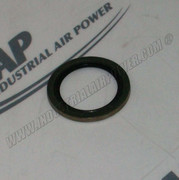 CZ9619 Bonded Seal-3/4