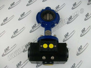 G4820-090-74 Purge/Repressurization Valve Assmby