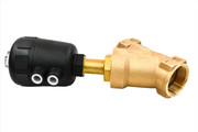 G7438616 Purge Valve