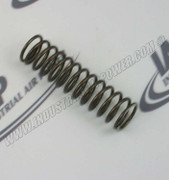 SE590 Spring