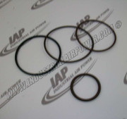 TEN000737 Kit O Ring, Viton