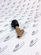 6228110751 Piston Valve