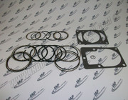 20103099 Ring Kit /Gasket-2000