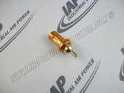 22463368 Thermal Valve