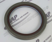 22548556 G42D1 Single Lip Seal
