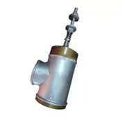 22699821 Blowdown Valve
