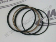 23191919 Piston Ring Set