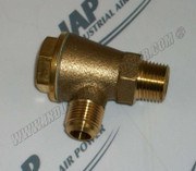 23192370 Check Valve