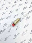23443674 Pressure Relief Valve