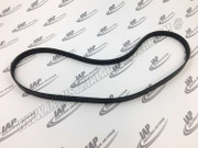 24208597 Poly-V Pk5 1246mm Belt