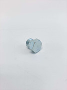 24653560 Hexagon Socket Pipe Plug