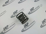 30416853 Spring