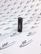 35318161 Min Pressure Val Spring