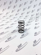 35332691 Spring