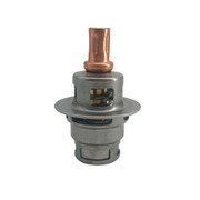 39185475 Thermostatic Element