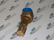 39227541 Safety Valve-200 psig