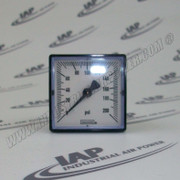 39499256 0-200# Pressure Gauge