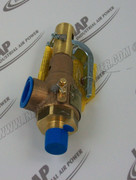 39558408 Relief Valve
