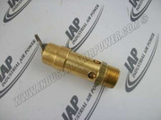 39588116 Safety Valve