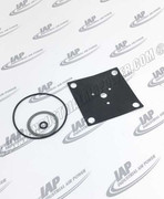 42421321 Diaphragm Replacement Kit