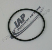 95022067 O-Ring