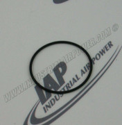 95026183 O-Ring