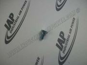 95053070 Capscrew