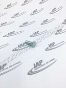 95053567 Capscrew