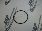 95061024 O-Ring