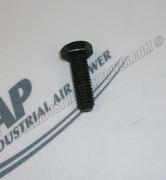95105250 Screw, Hex Cap