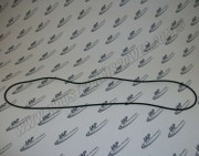 95603155 O-Ring