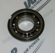 95951216 Bearing w/Snap Ring