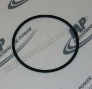 95988002 O-Ring